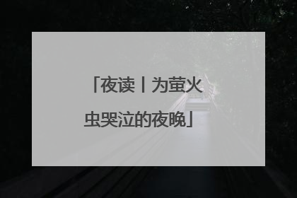 夜读丨为萤火虫哭泣的夜晚