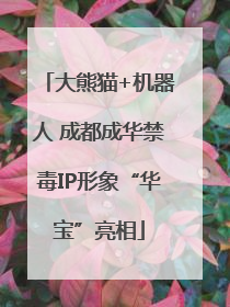 大熊猫+机器人 成都成华禁毒IP形象“华宝”亮相