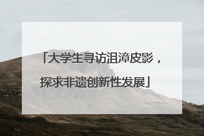 大学生寻访沮漳皮影，探求非遗创新性发展