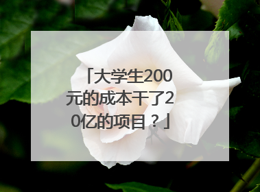 大学生200元的成本干了20亿的项目？