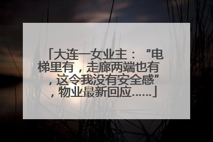 大连一女业主：“电梯里有，走廊两端也有，这令我没有安全感”，物业最新回应……