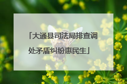 大通县司法局排查调处矛盾纠纷惠民生