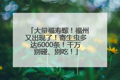大量福寿螺！福州又出现了！寄生虫多达6000条！千万别碰、别吃！