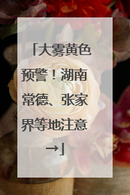 大雾黄色预警！湖南常德、张家界等地注意→