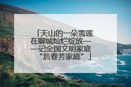天山的一朵雪莲在聊城灿烂绽放——记全国文明家庭“詹春芳家庭”