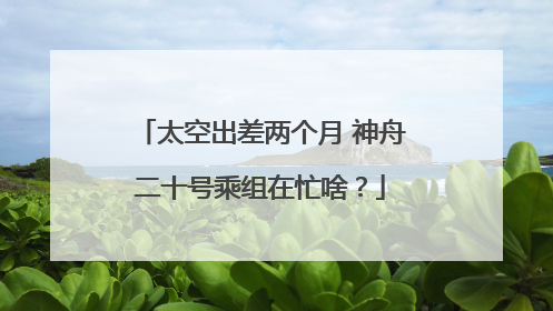 太空出差两个月 神舟二十号乘组在忙啥？