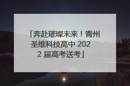 奔赴璀璨未来！青州圣维科技高中 2022 届高考送考