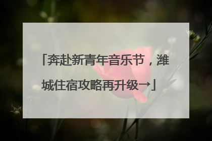 奔赴新青年音乐节，潍城住宿攻略再升级→