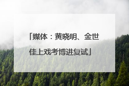 媒体：黄晓明、金世佳上戏考博进复试