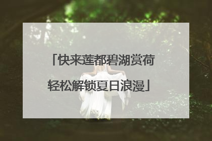 快来莲都碧湖赏荷 轻松解锁夏日浪漫