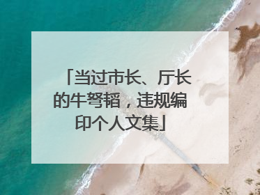 当过市长、厅长的牛弩韬，违规编印个人文集
