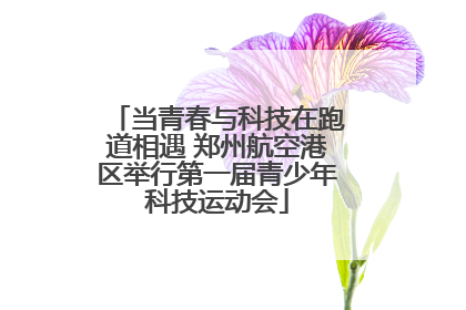 当青春与科技在跑道相遇 郑州航空港区举行第一届青少年科技运动会