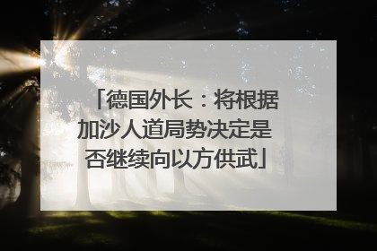 德国外长：将根据加沙人道局势决定是否继续向以方供武