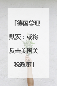 德国总理默茨：或将反击美国关税政策