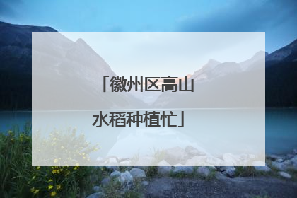 徽州区高山水稻种植忙