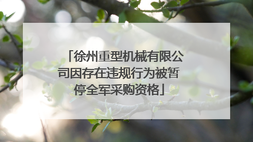 徐州重型机械有限公司因存在违规行为被暂停全军采购资格