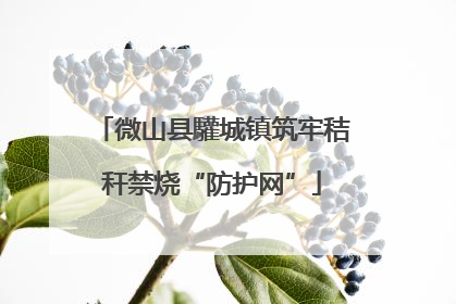 微山县驩城镇筑牢秸秆禁烧“防护网”