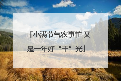 小满节气农事忙 又是一年好“丰”光