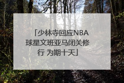 少林寺回应NBA球星文班亚马闭关修行 为期十天