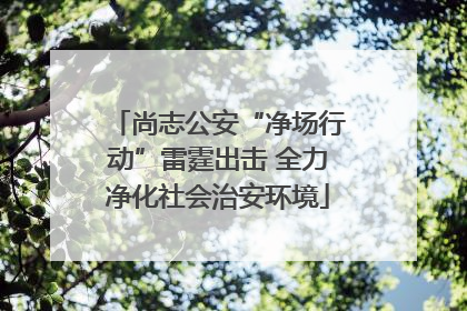 尚志公安“净场行动”雷霆出击 全力净化社会治安环境