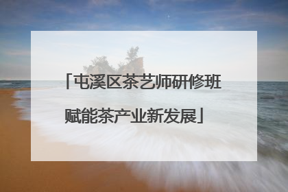 屯溪区茶艺师研修班赋能茶产业新发展