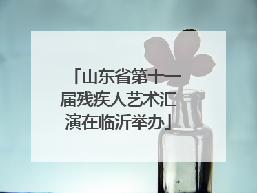 山东省第十一届残疾人艺术汇演在临沂举办