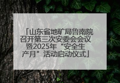 山东省地矿局鲁南院召开第三次安委会会议暨2025年“安全生产月”活动启动仪式