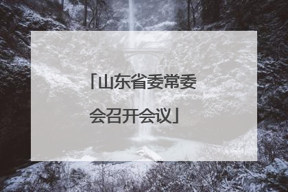 山东省委常委会召开会议