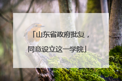 山东省政府批复，同意设立这一学院