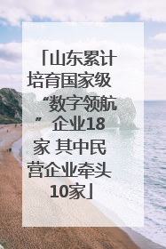 山东累计培育国家级“数字领航”企业18家 其中民营企业牵头10家