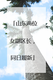 山东两位女副区长，同日履新