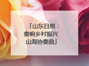 山东日照：奏响乡村振兴山海协奏曲