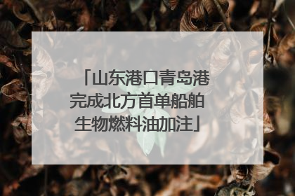 山东港口青岛港完成北方首单船舶生物燃料油加注