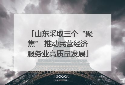 山东采取三个“聚焦” 推动民营经济服务业高质量发展