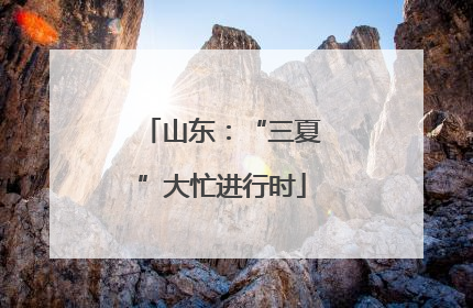 山东：“三夏”大忙进行时