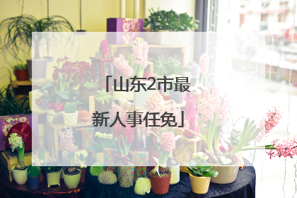 山东2市最新人事任免