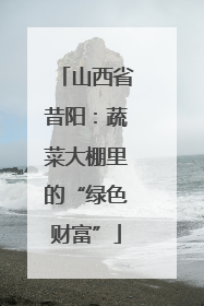 山西省昔阳：蔬菜大棚里的“绿色财富”