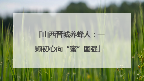 山西晋城养蜂人：一颗初心向“蜜”图强