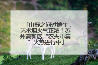 山野之间过端午，艺术烟火气正浓！苏州高新区“农夫市集”火热进行中