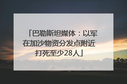 巴勒斯坦媒体：以军在加沙物资分发点附近打死至少28人