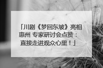 川剧《梦回东坡》亮相惠州 专家研讨会点赞：直接走进观众心里！