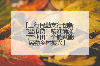 工行民勤支行创新“蜜瓜贷”精准滴灌“产业田”全链赋能民勤乡村振兴