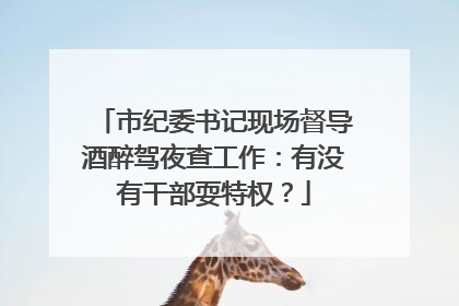市纪委书记现场督导酒醉驾夜查工作：有没有干部耍特权？