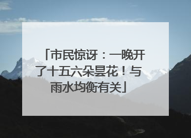 市民惊讶：一晚开了十五六朵昙花！与雨水均衡有关