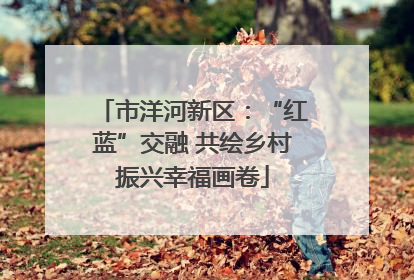 市洋河新区：“红蓝”交融 共绘乡村振兴幸福画卷