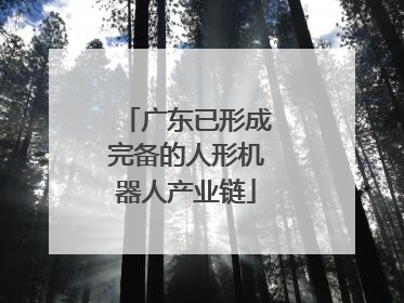 广东已形成完备的人形机器人产业链