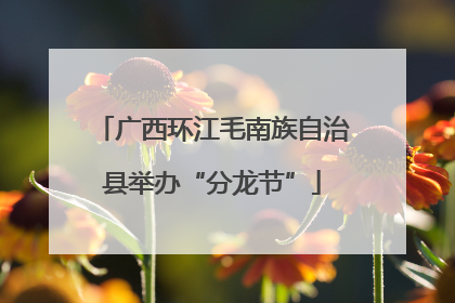 广西环江毛南族自治县举办“分龙节”