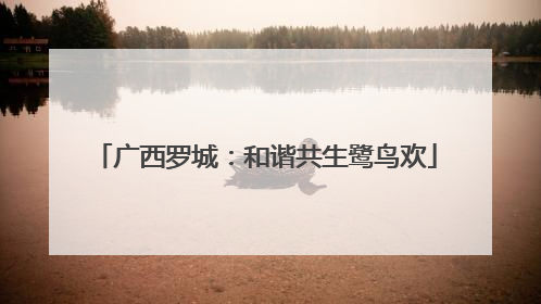 广西罗城：和谐共生鹭鸟欢