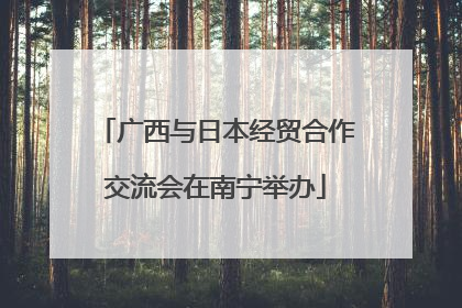 广西与日本经贸合作交流会在南宁举办