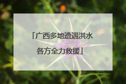 广西多地遭遇洪水 各方全力救援